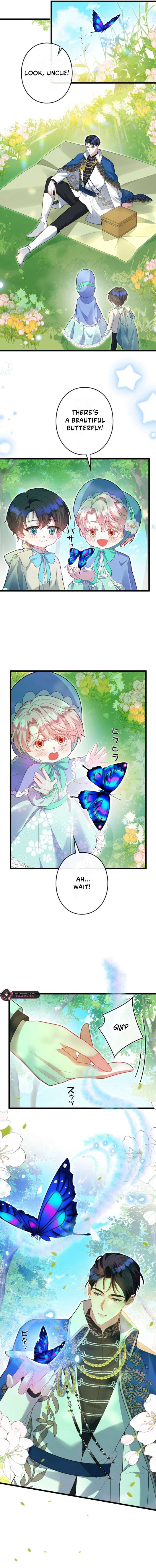ch 36 7
