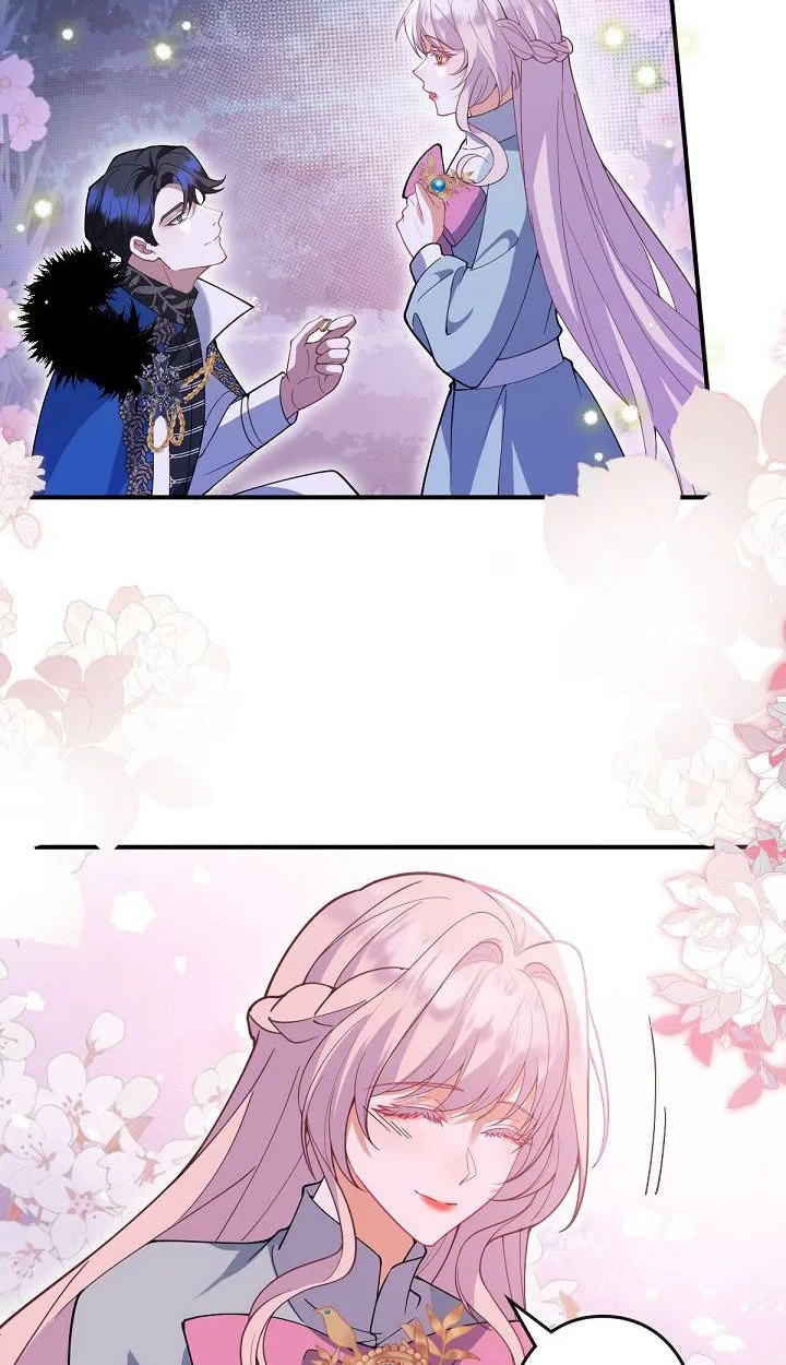 8e6fef0d2582