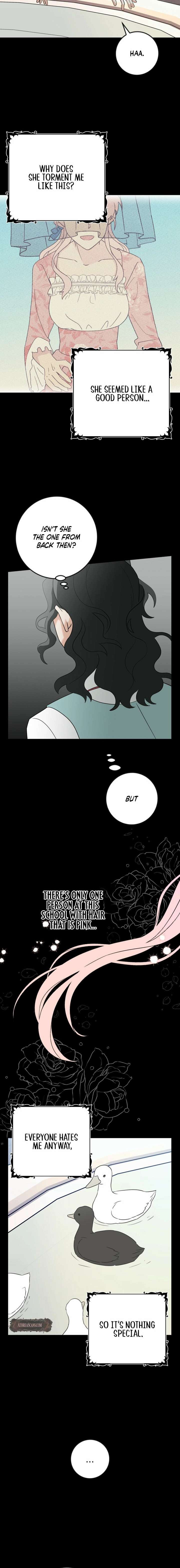 ch 17 8