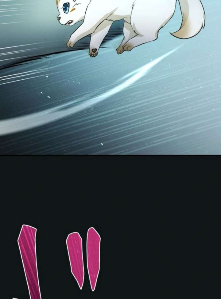 278