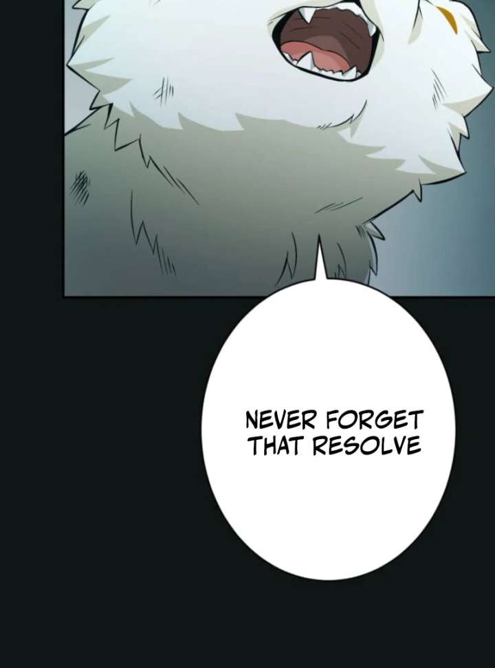 323