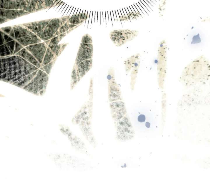 I’d Rather Marry a Memorial Tablet Than Serve as a Concubine Chapter 3 375 92