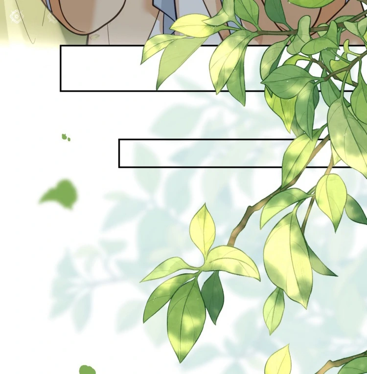 I’d Rather Marry a Memorial Tablet Than Serve as a Concubine Chapter 8 333 71