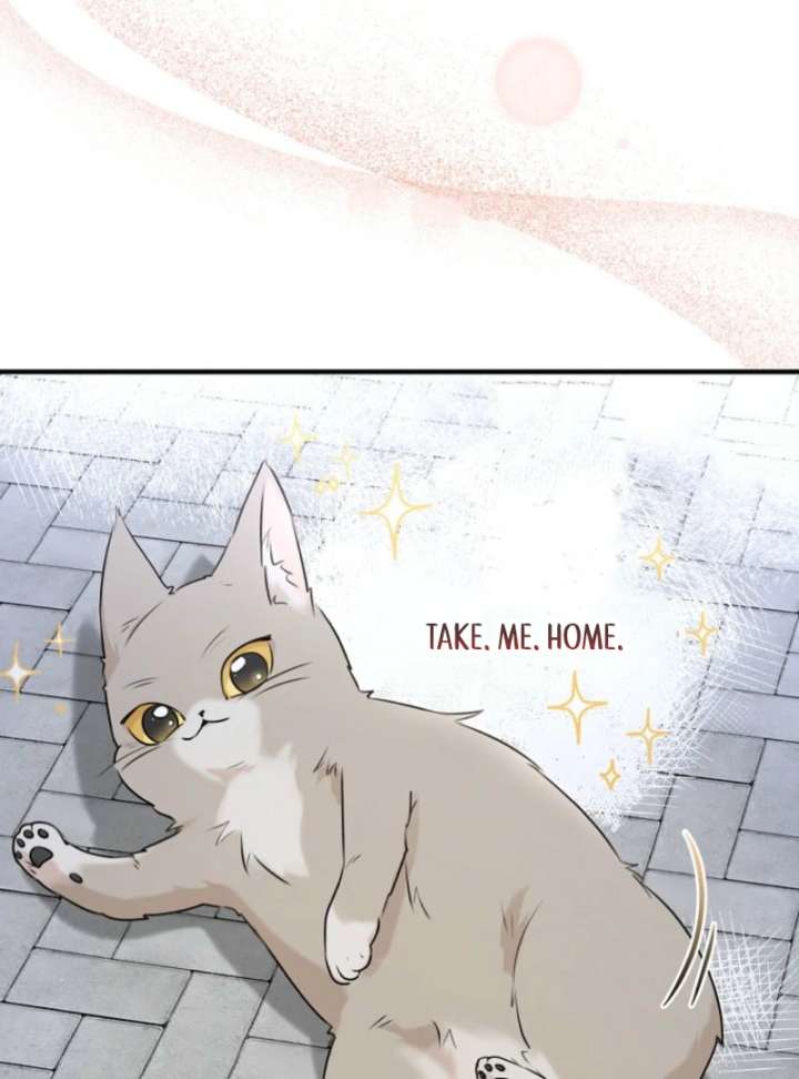113