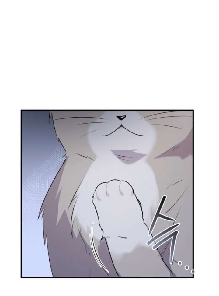 146