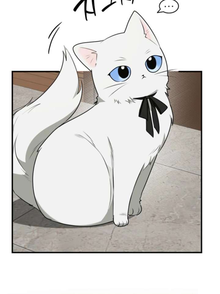 113