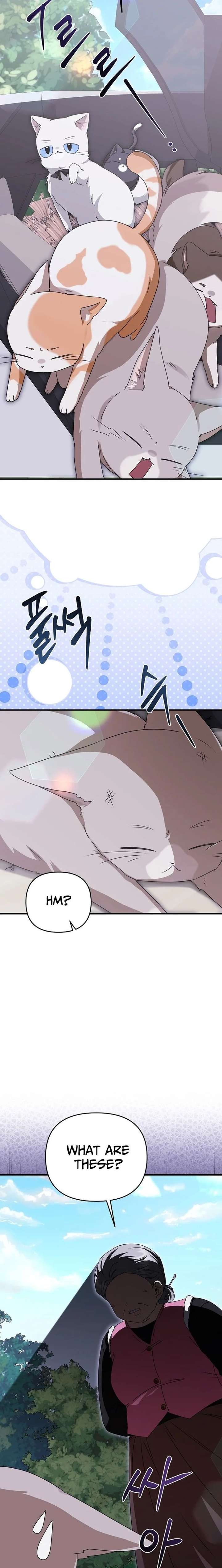 Starting Today, I’m the Butler of Five Men Chapter 31 102 ch 31 9