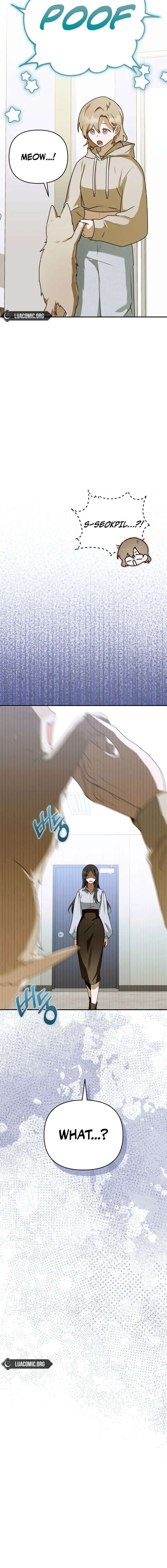 ch 41 22