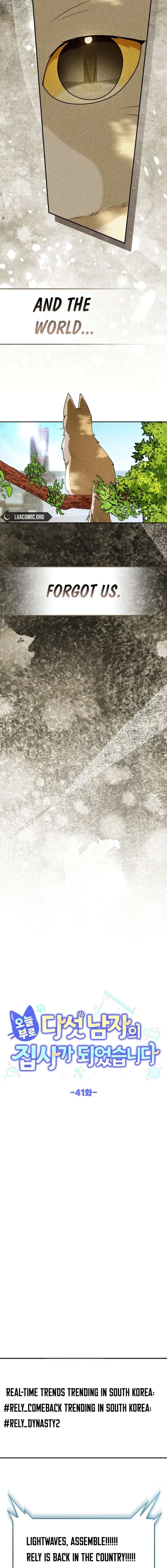 ch 41 8