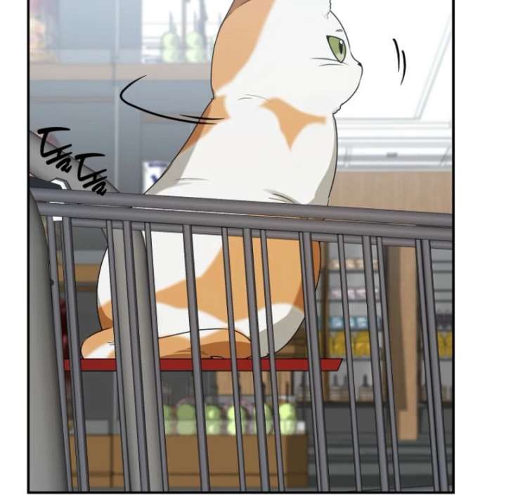 116