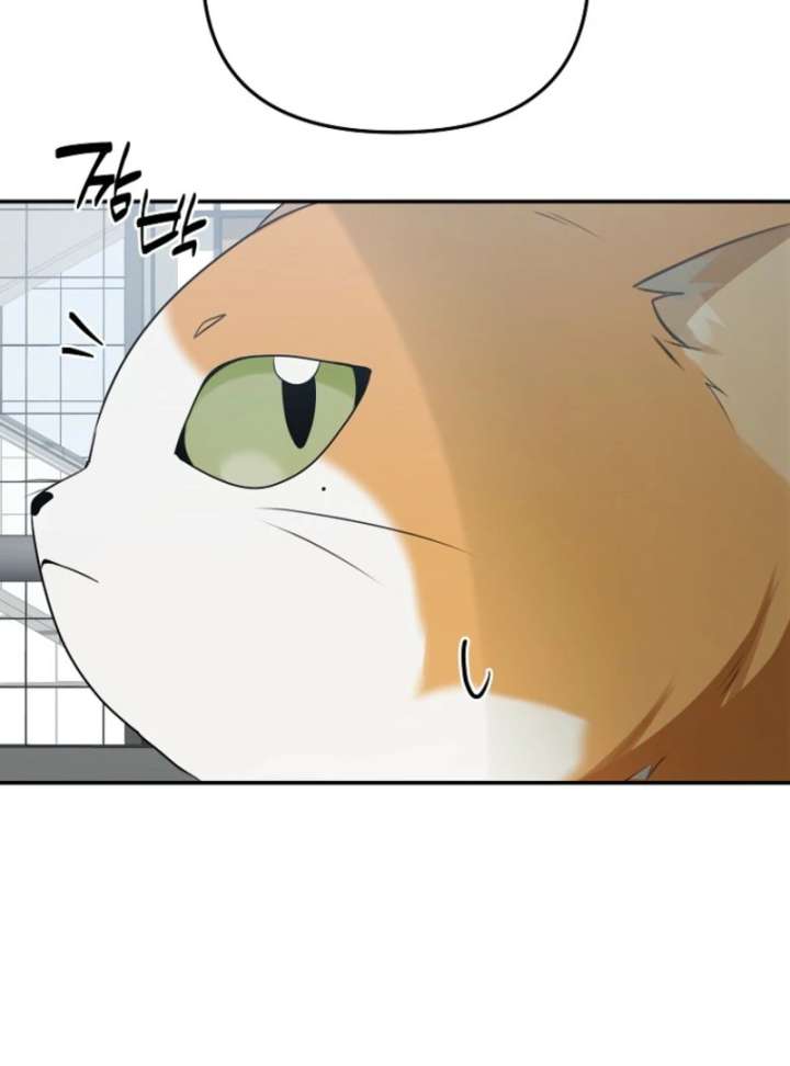 138