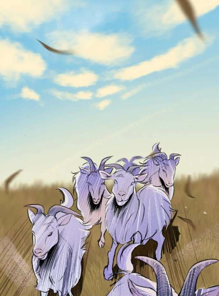223