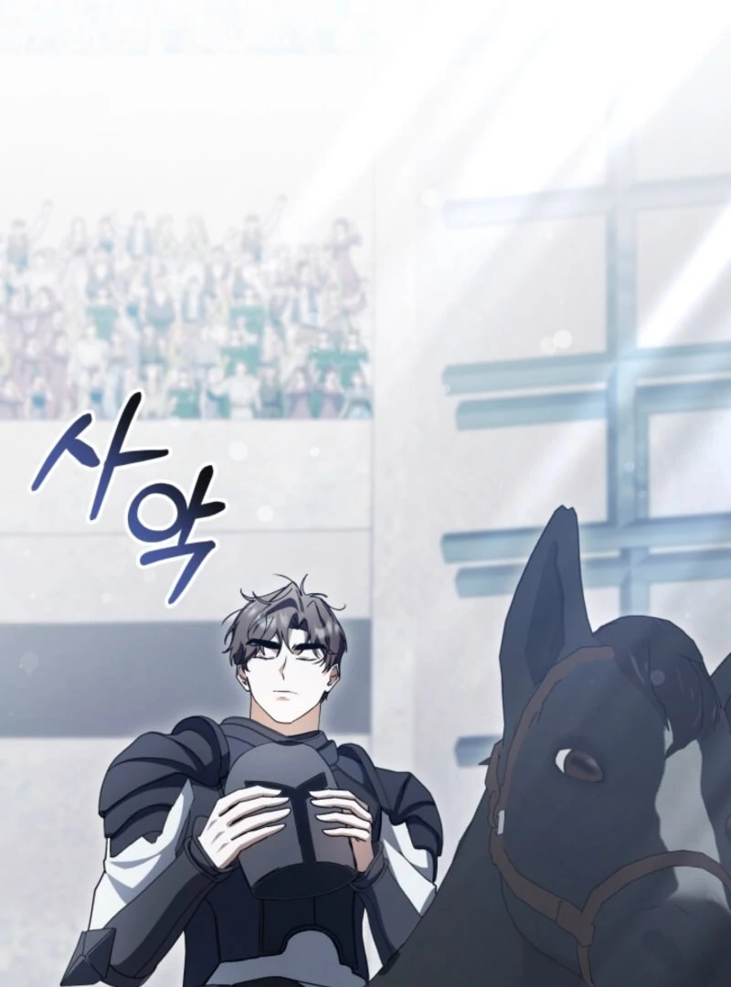 The Maid and the Usurper Chapter 17 545 106