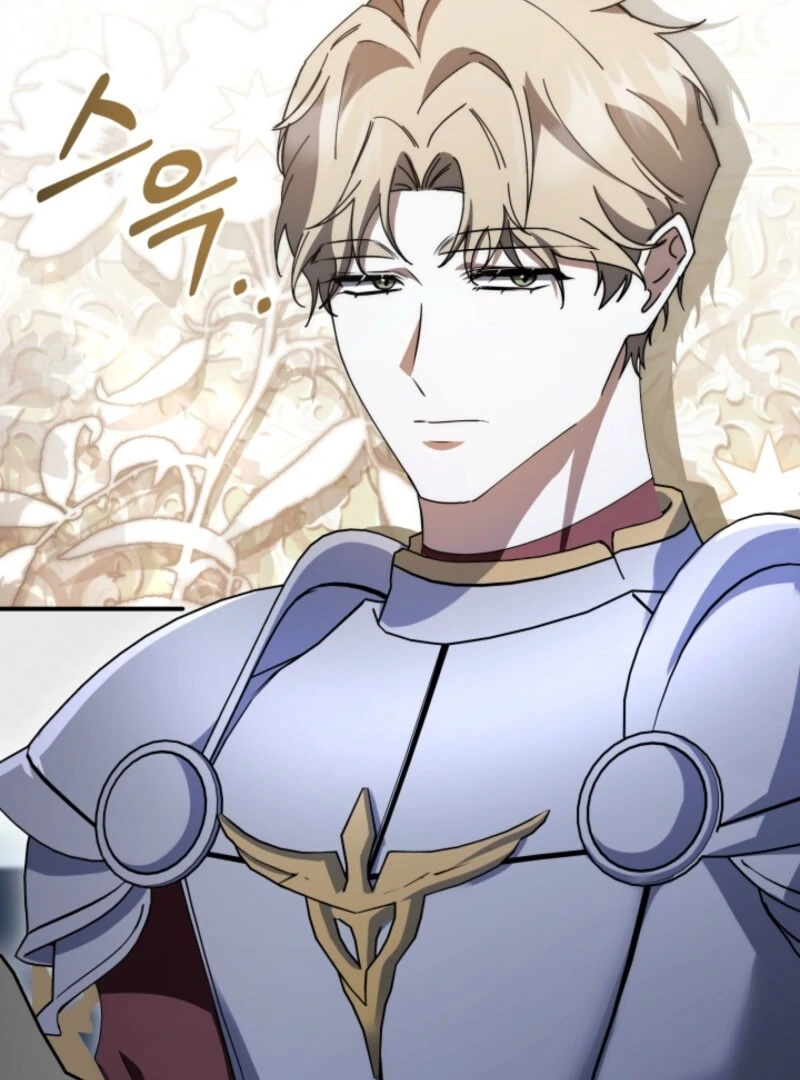 The Maid and the Usurper Chapter 17 567 128