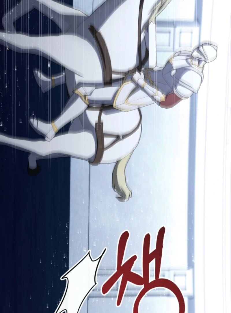 The Maid and the Usurper Chapter 18 448 042