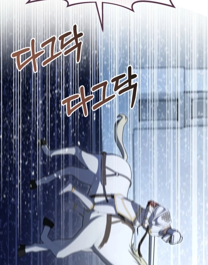 The Maid and the Usurper Chapter 18 487 081