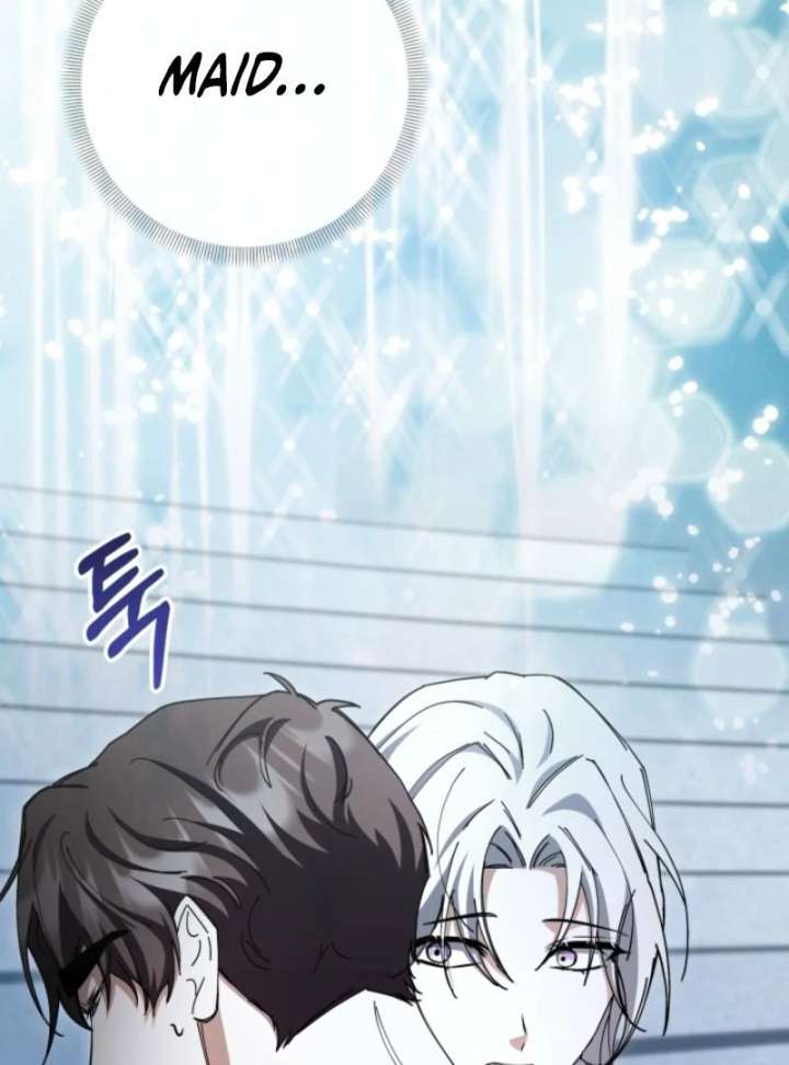 The Maid and the Usurper Chapter 19 556 087