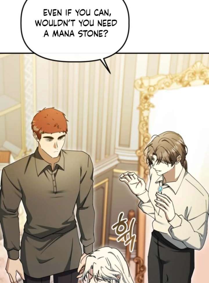 The Maid and the Usurper Chapter 20 493 015