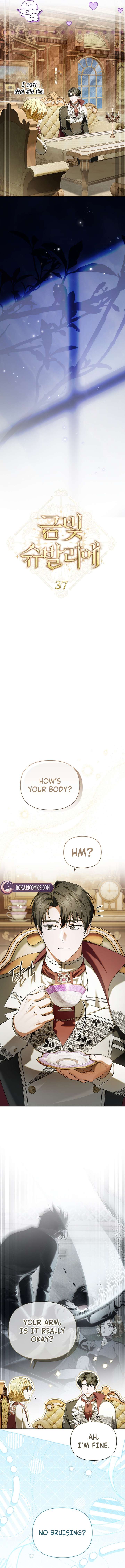 ch 37 5