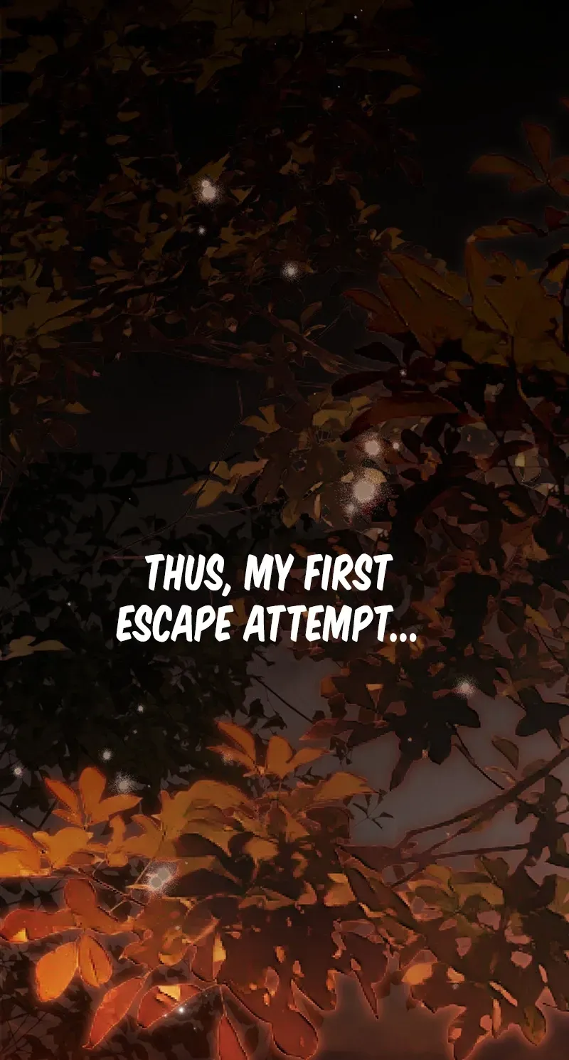 e3d74e3c7ca6