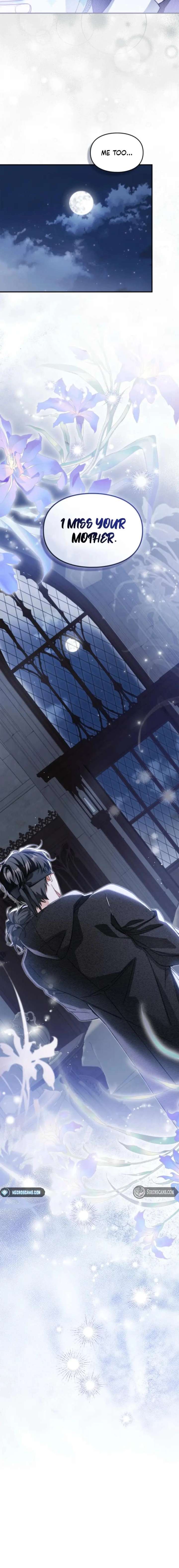 ch 41 17