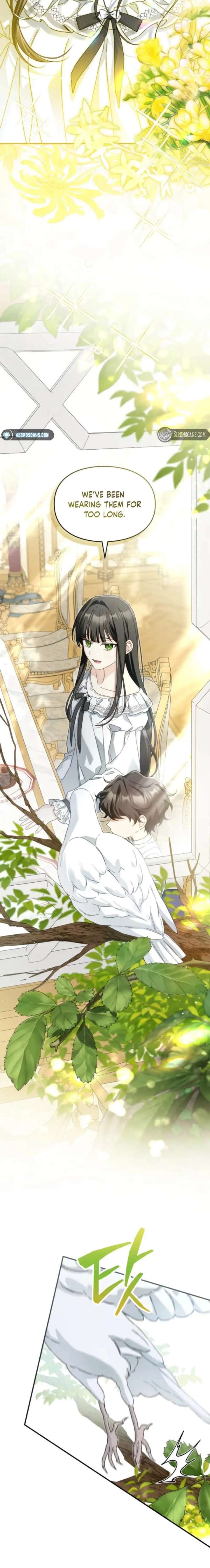 ch 41 21
