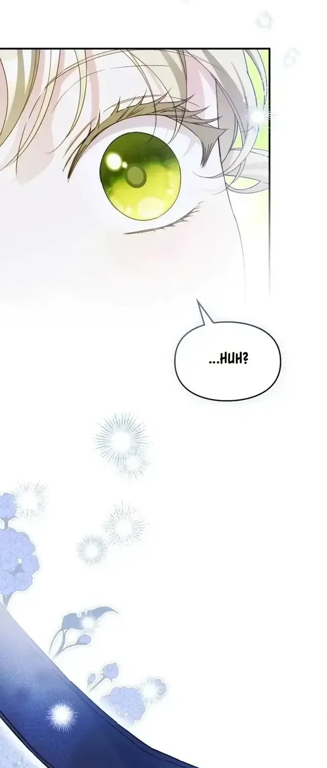 I Got Engaged To The Blind Duke Chapter 45 301 49