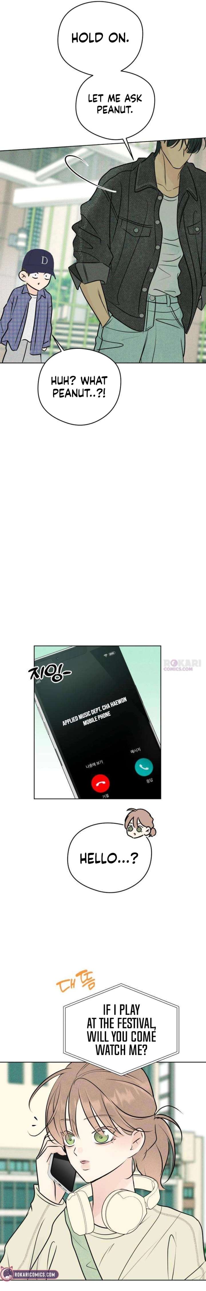 ch 29 17