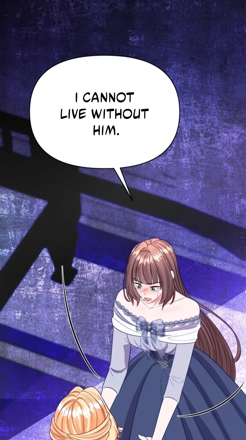 cf33b0727d9e