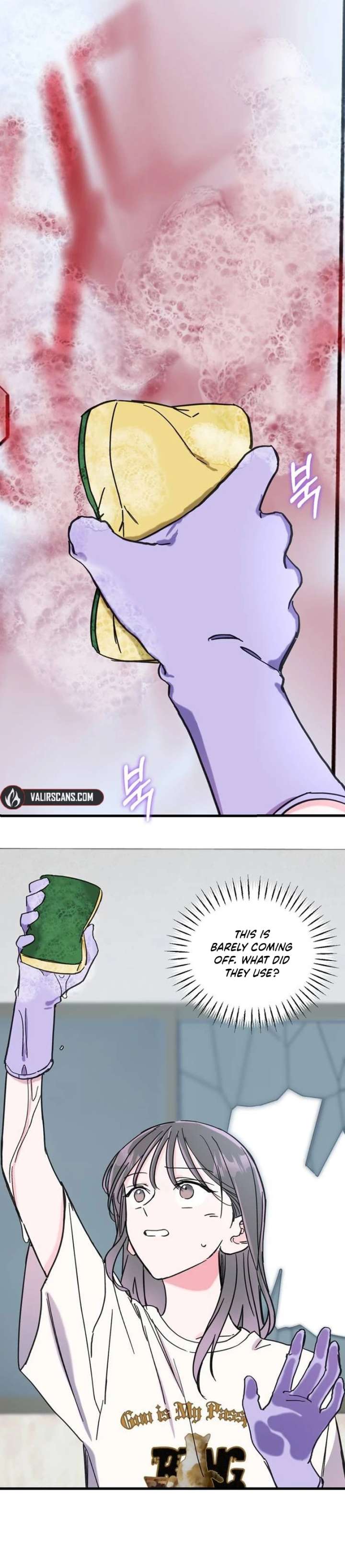 ch 22 19