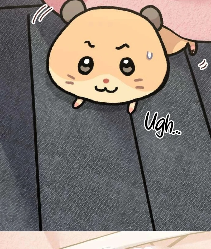 Meow-Meow Squeak-Squeak! Chapter 1 163 36