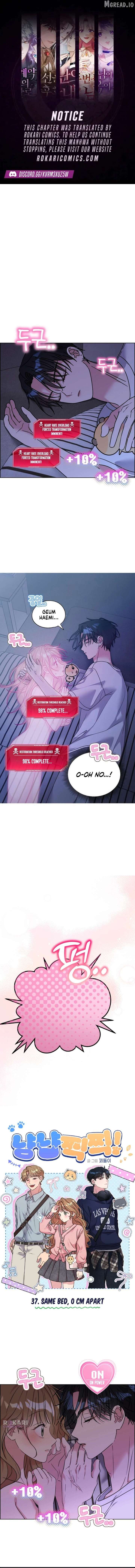 ch 37 1