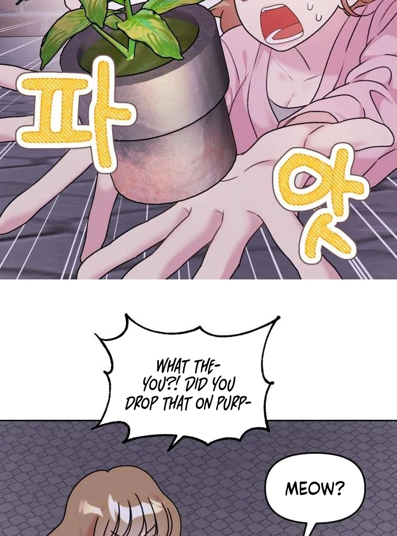 Meow-Meow Squeak-Squeak! Chapter 4 163 12