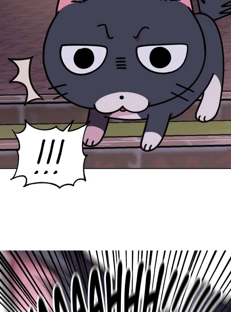 Meow-Meow Squeak-Squeak! Chapter 4 173 22