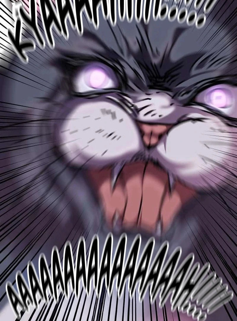 Meow-Meow Squeak-Squeak! Chapter 4 174 23