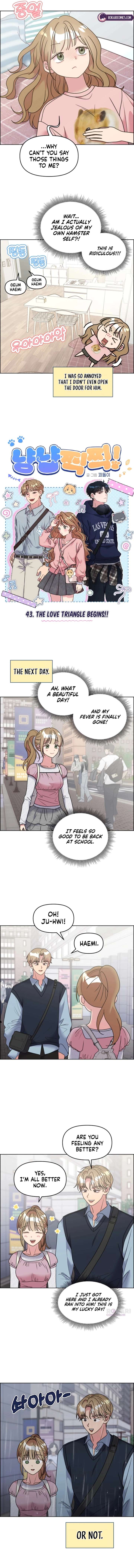 ch 43 3