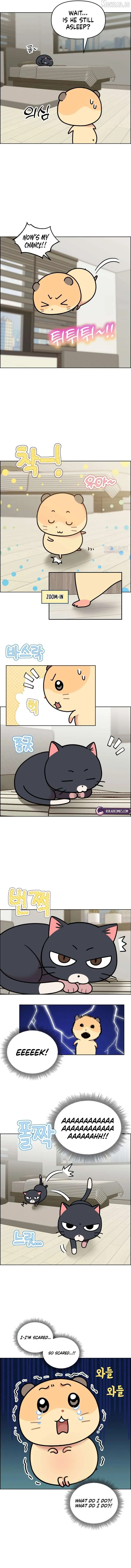 Meow-Meow Squeak-Squeak! Chapter 50 22 b04ffbd4986c