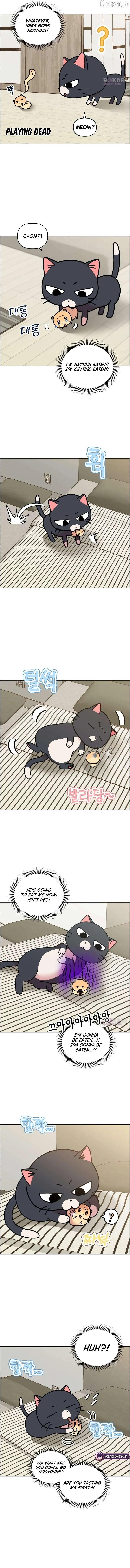 Meow-Meow Squeak-Squeak! Chapter 50 23 cb6800eefbc1