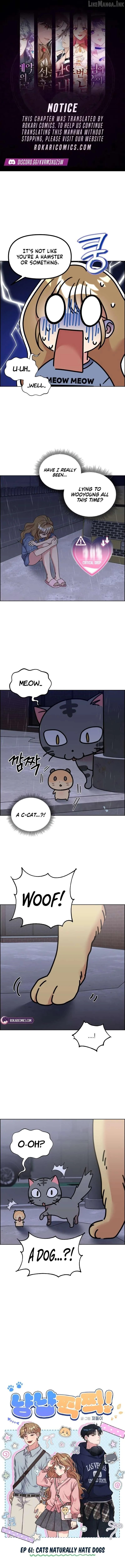 Meow-Meow Squeak-Squeak! Chapter 61 19 10c7795685ea