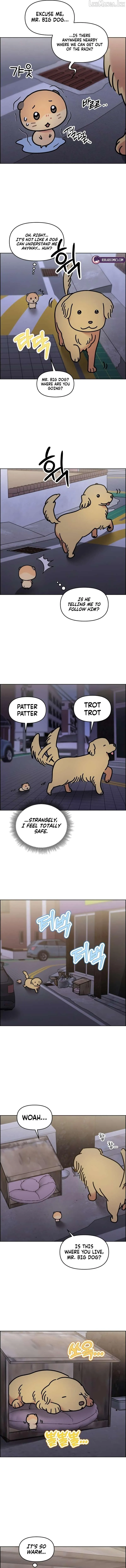 Meow-Meow Squeak-Squeak! Chapter 61 21 91dd5d7699ed