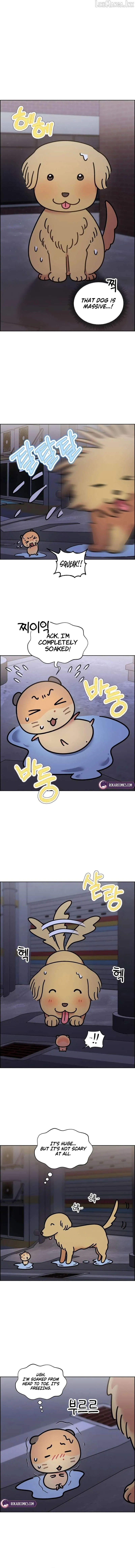 Meow-Meow Squeak-Squeak! Chapter 61 20 a3f5a3f9a5a6