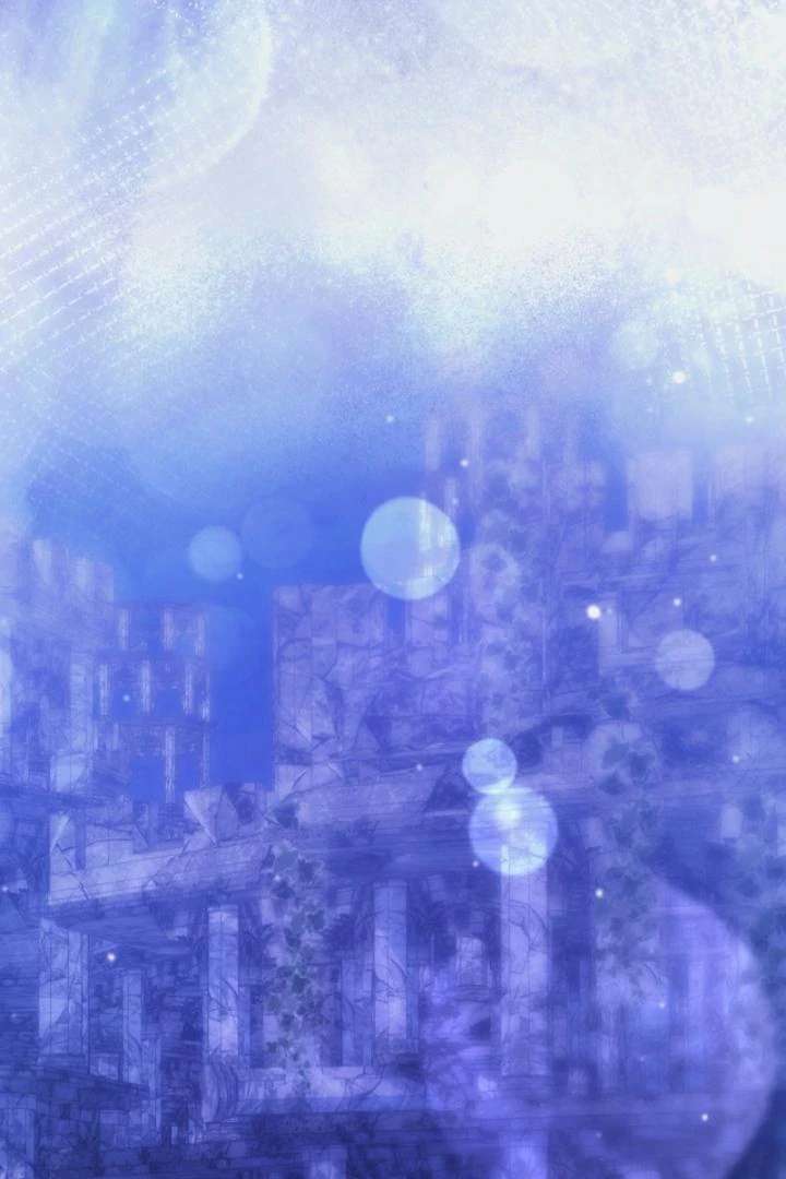 81
