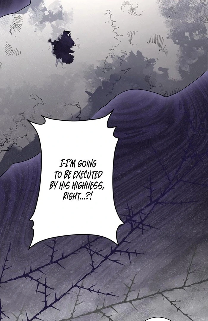 The Obsessed Young Prince Loves the Unlucky Princess Too Much! Chapter 10 510 107