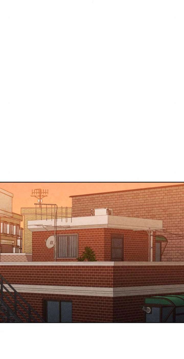 ch 29 15