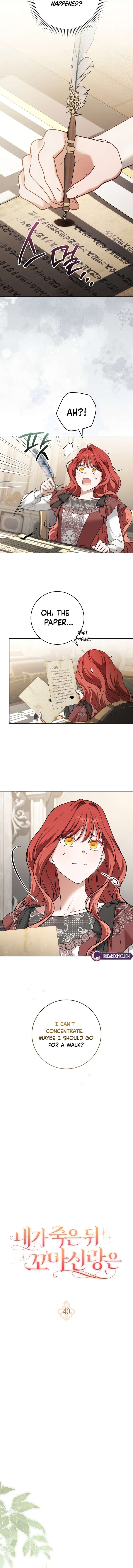 ch 40 2