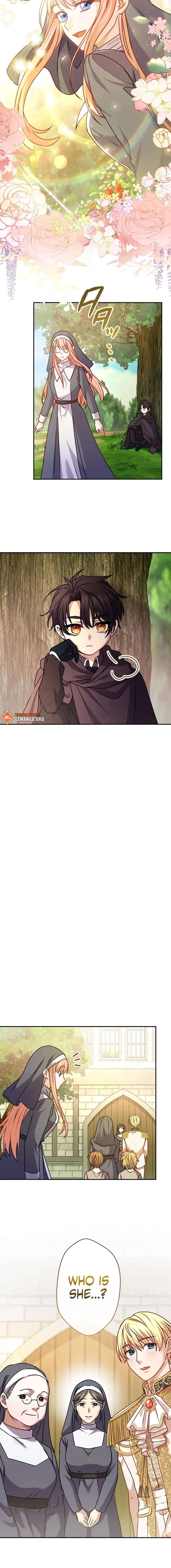 ch 17 16