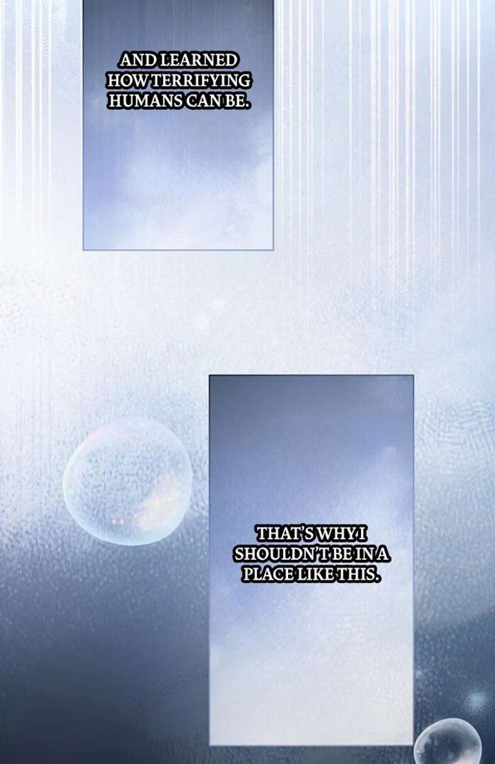 The Coldhearted Duke Is Obsessed With the Seal Princess Chapter 1 573 116