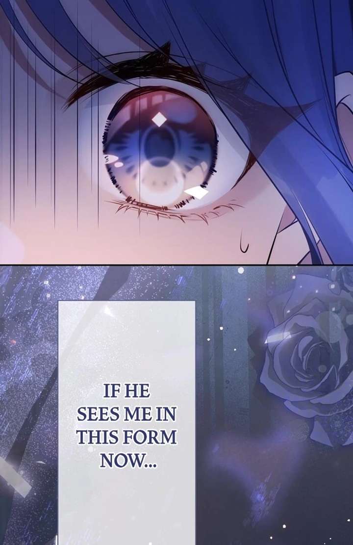 The Coldhearted Duke Is Obsessed With the Seal Princess Chapter 1 600 143