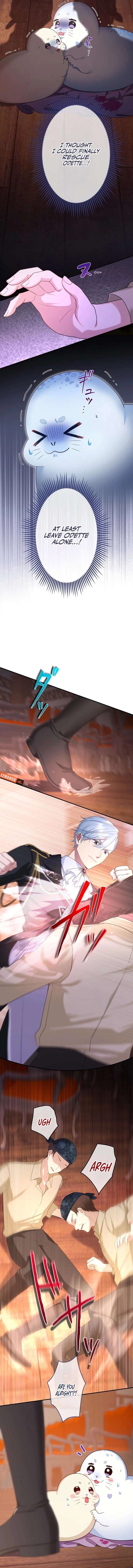 The Coldhearted Duke Is Obsessed With the Seal Princess Chapter 12 45 02