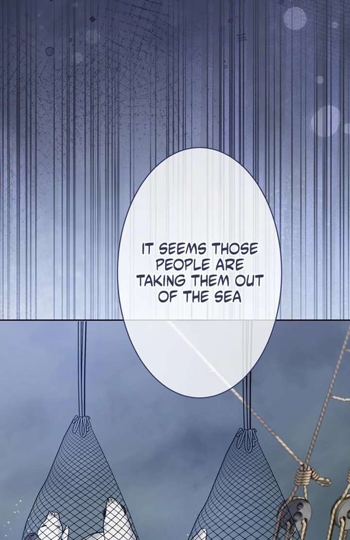 The Coldhearted Duke Is Obsessed With the Seal Princess Chapter 2 480 086